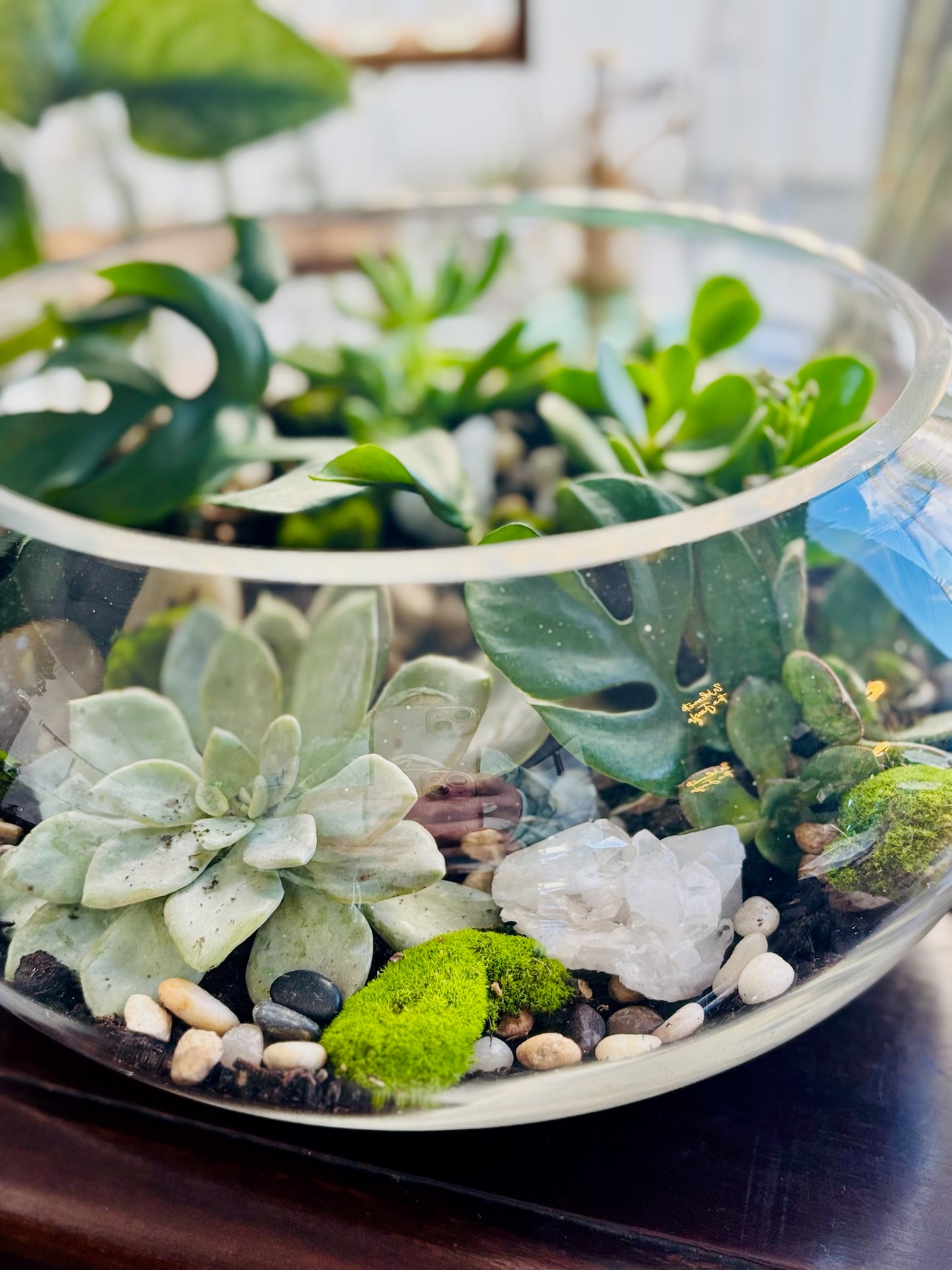 Large Low Terrarium