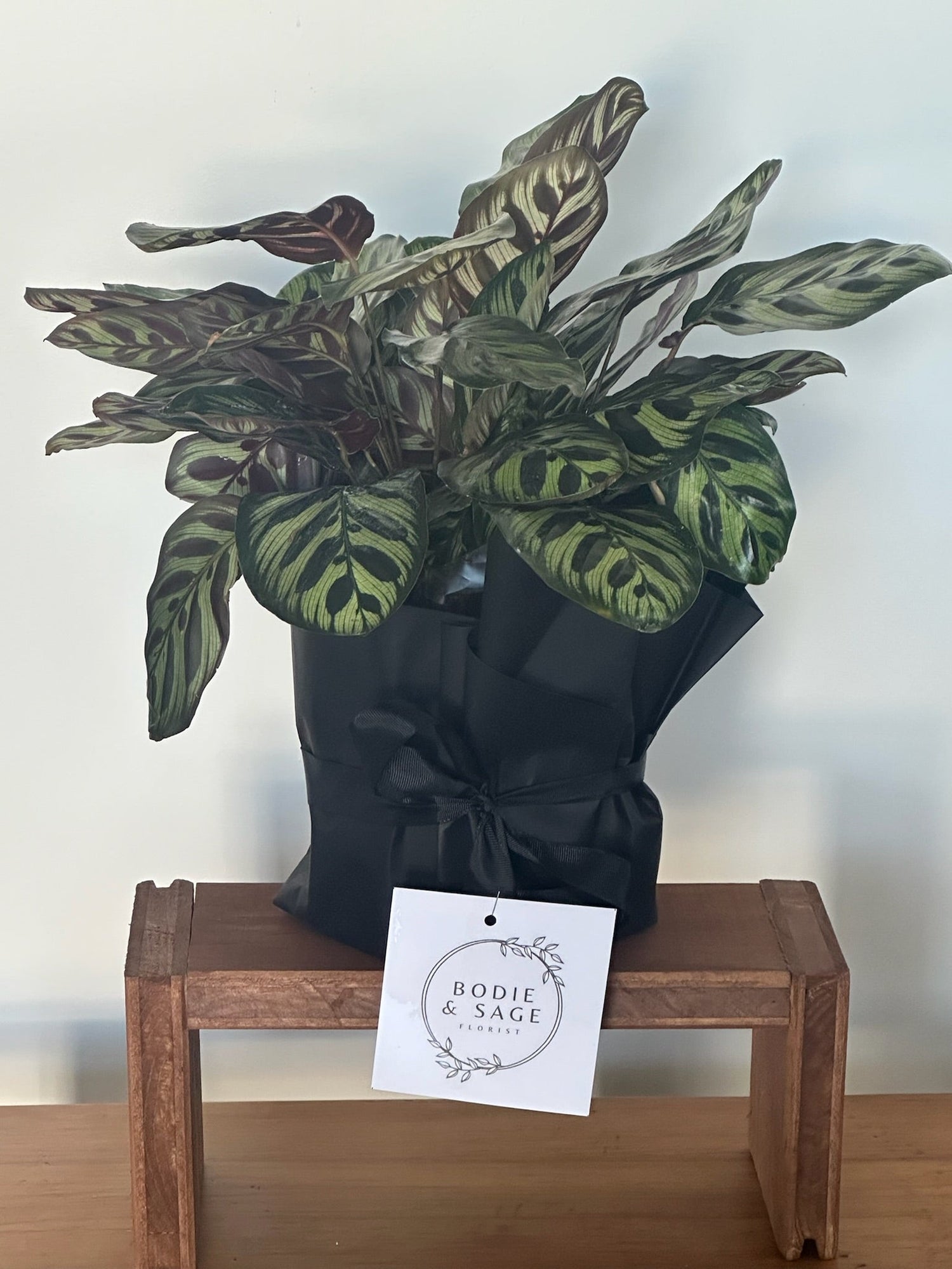 Living Gifts