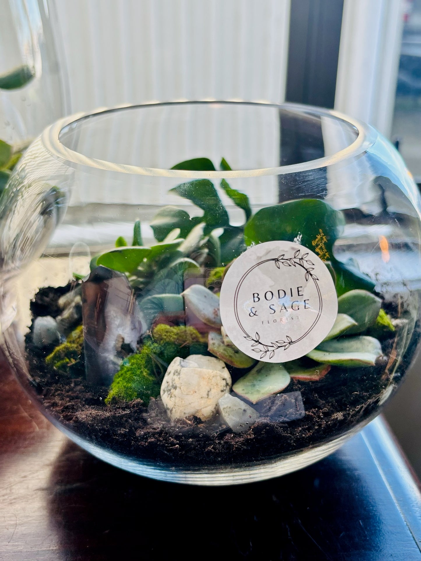 Small Terrarium